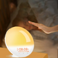 Smart Natural Alarm Clock