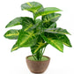 Floral Collection - Faux Leaves