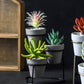 3 Tiered Mini Succulent Pots