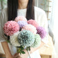 Floral Collection - Dandelion Style Blooms