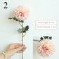 Floral Collection - Dandelion Style Blooms