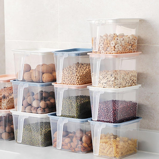 Transparent Storage Container with Handle