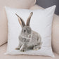 Hop to It Collection