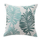 Palm Collection